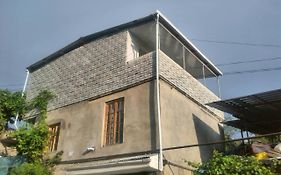 Georgian Hosts Tbilisi